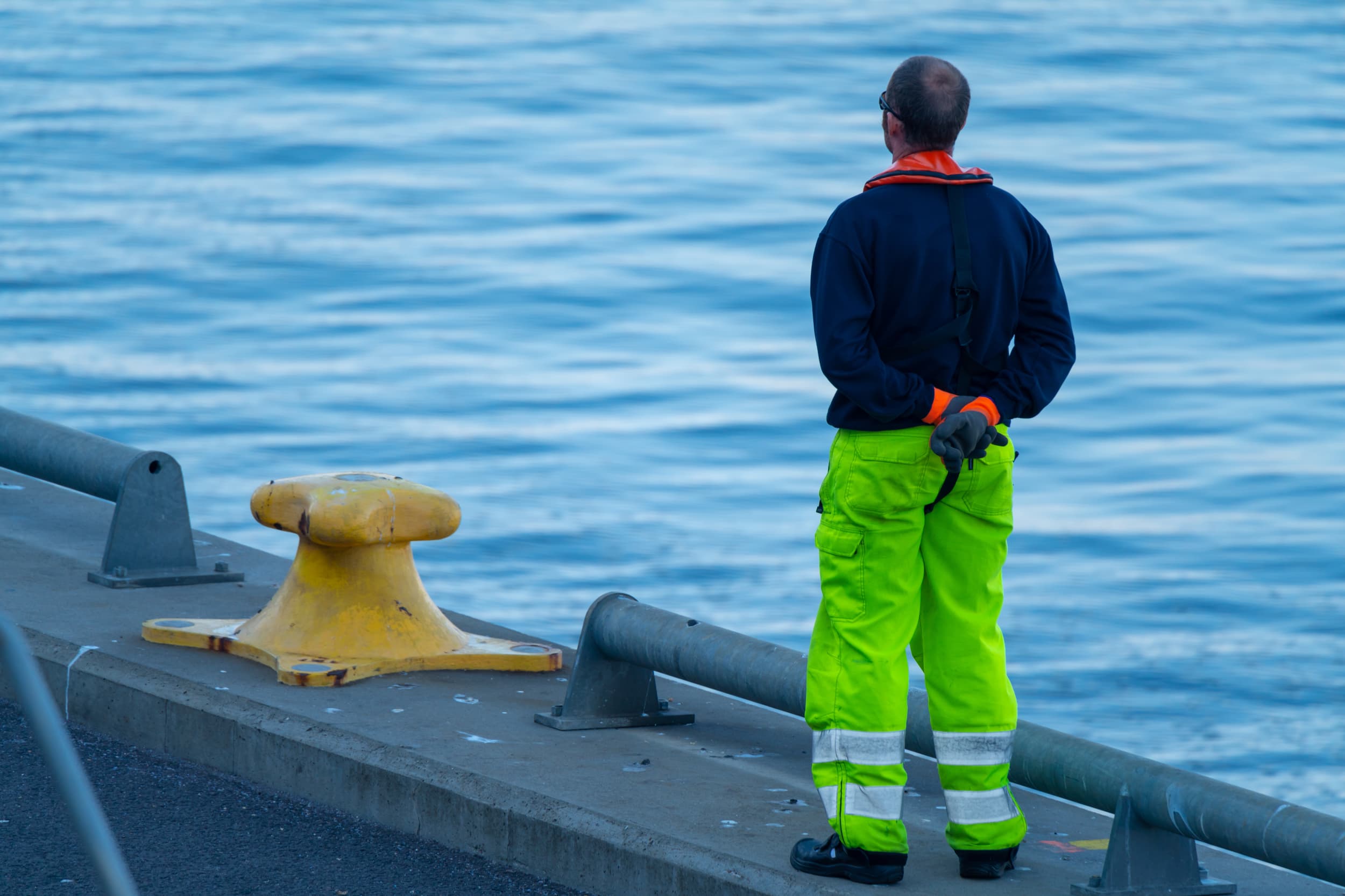 Compliance Training Online Shipyard Ergonomics course